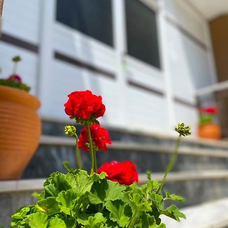 Thealos Inn Vrasná Exteriér fotografie