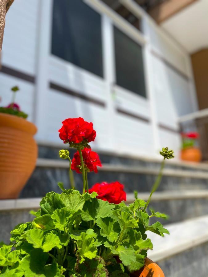 Thealos Inn Vrasná Exteriér fotografie